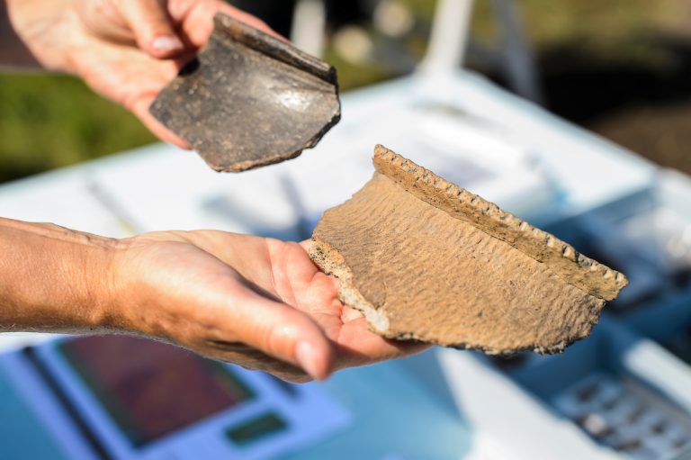 Mississippian rim sherd and Late Woodland rim sherd