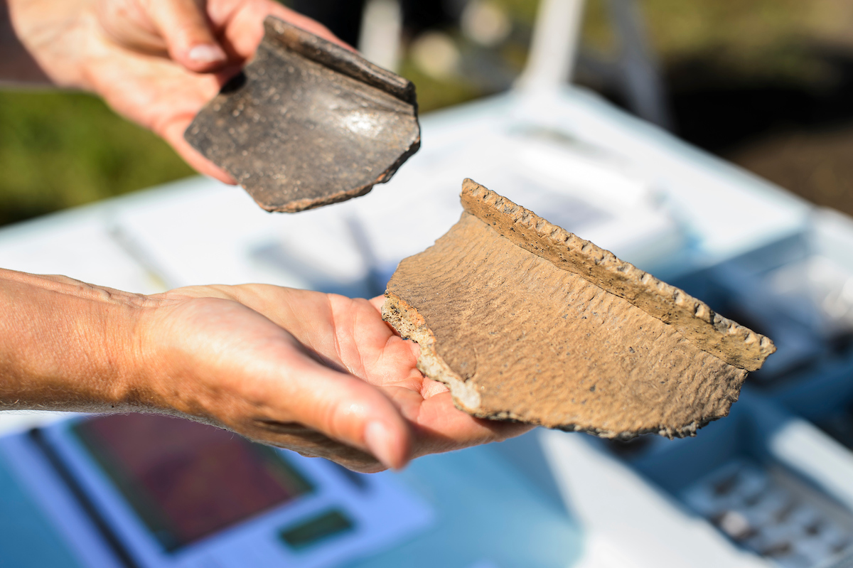 Mississippian rim sherd and Late Woodland rim sherd