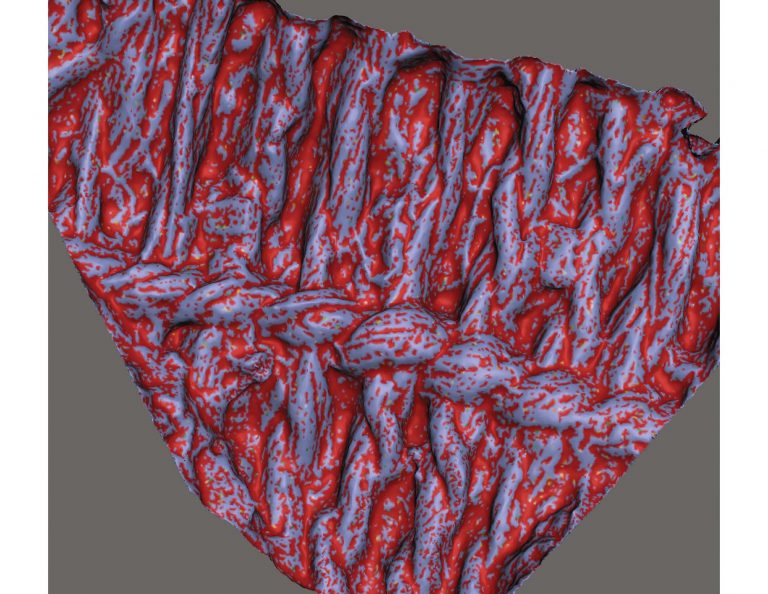 3D model of fabric that left its impression on the exterior surface of a ceramic vessel about 800 years ago